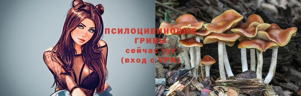 скорость Абаза