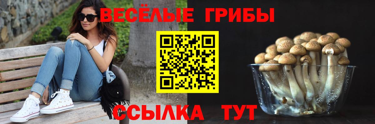 Саратов  Псилоцибиновые грибы Psilocybe  наркошоп  Вход с VPN 